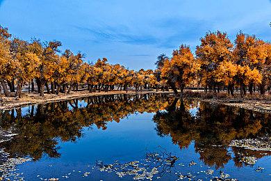 任天堂是2024年唯一一家没有大裁员的游戏大厂